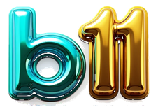 b11
